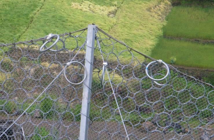 025�ͭh�α��ӷ��o�W